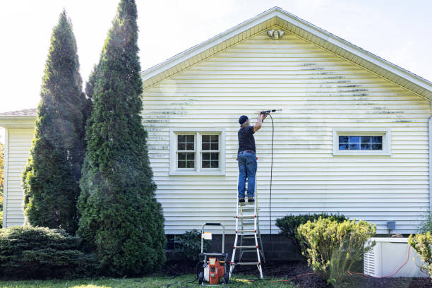 Best House Exterior Washing  in Murray, UT
