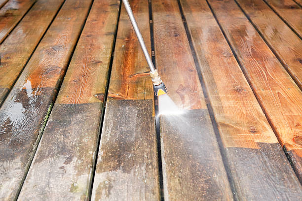Best Fence Cleaning  in Murray, UT